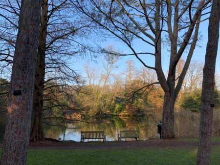 Is Kew Gardens Worth Visiting in Winter? Here’s What You’ll Find