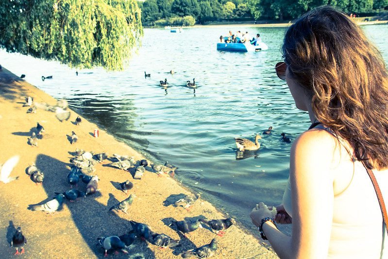 Feeding the Ducks in Hyde Park 