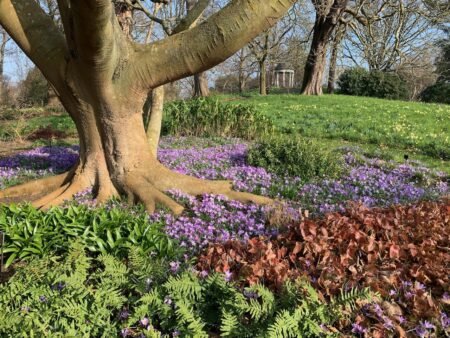 Spend Less, See More at Kew Gardens Kew Gardens Prices